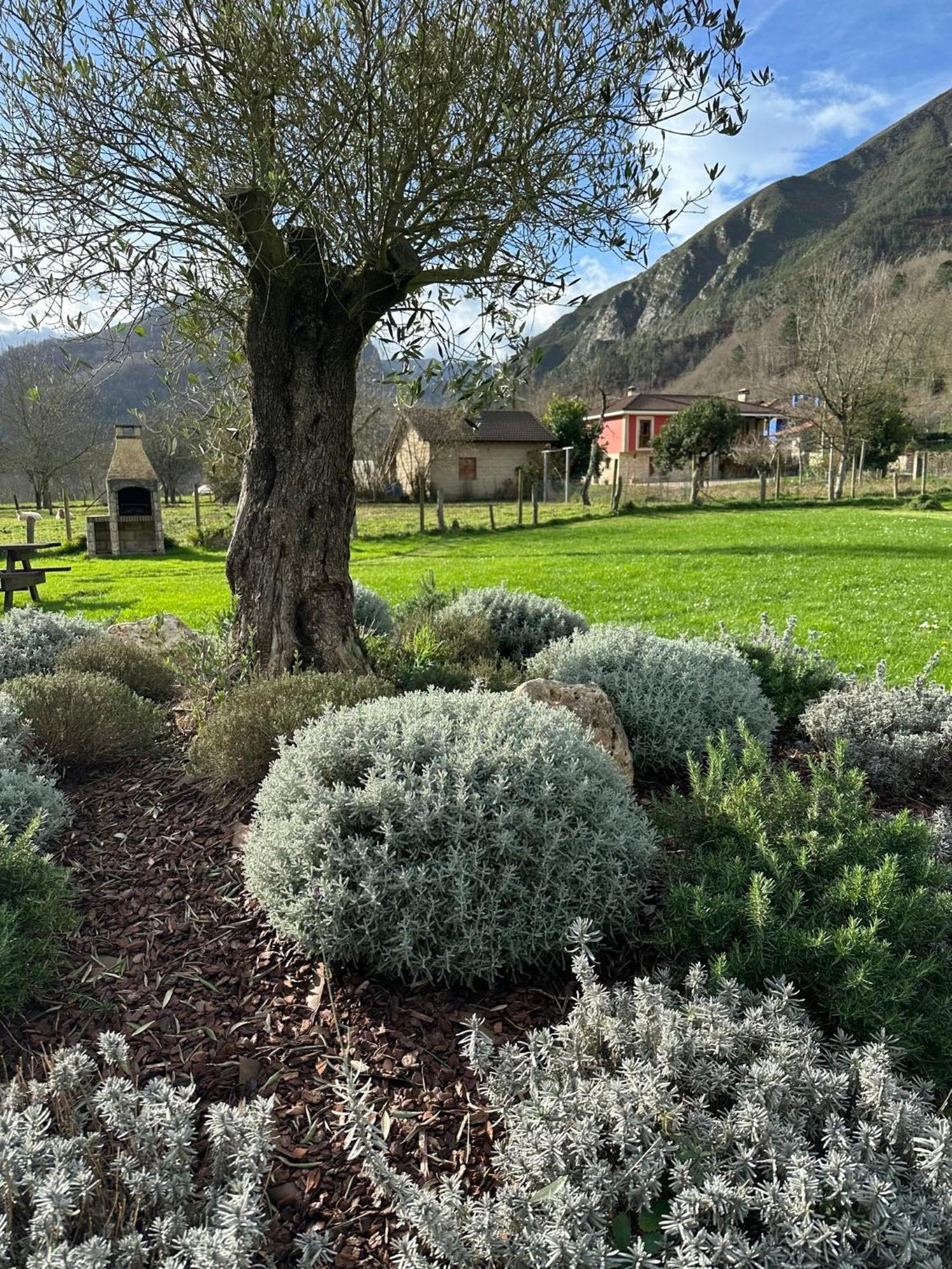 Casa Rural Nasares San Juan de Parres Luaran gambar